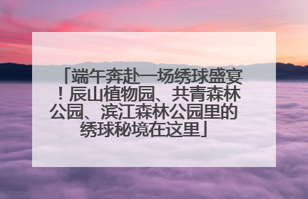 端午奔赴一场绣球盛宴！辰山植物园、共青森林公园、滨江森林公园里的绣球秘境在这里