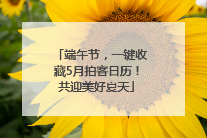 端午节，一键收藏5月拍客日历！共迎美好夏天