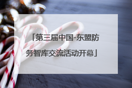 第三届中国-东盟防务智库交流活动开幕