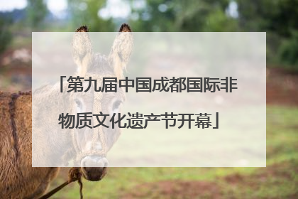 第九届中国成都国际非物质文化遗产节开幕