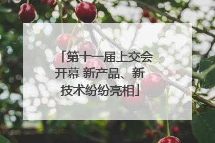 第十一届上交会开幕 新产品、新技术纷纷亮相