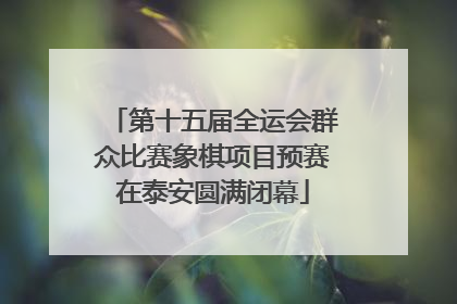 第十五届全运会群众比赛象棋项目预赛在泰安圆满闭幕