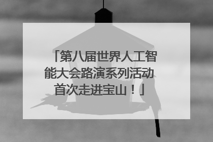 第八届世界人工智能大会路演系列活动首次走进宝山！