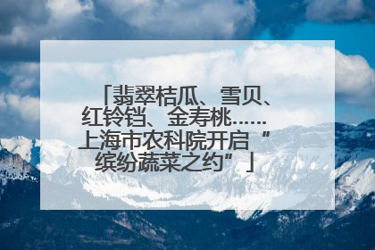 翡翠桔瓜、雪贝、红铃铛、金寿桃……上海市农科院开启“缤纷蔬菜之约”