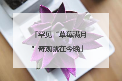 罕见“草莓满月”奇观就在今晚