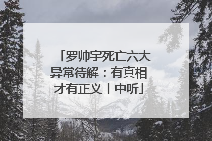 罗帅宇死亡六大异常待解：有真相才有正义丨中听