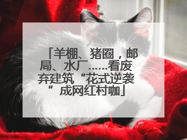 羊棚、猪圈，邮局、水厂……看废弃建筑“花式逆袭”成网红村咖