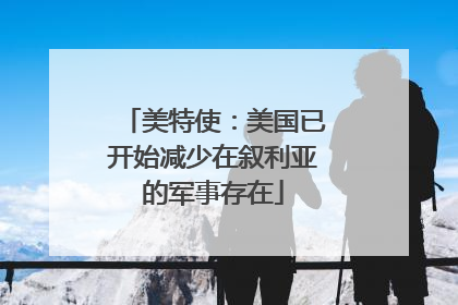 美特使：美国已开始减少在叙利亚的军事存在