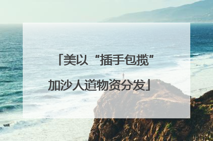 美以“插手包揽”加沙人道物资分发