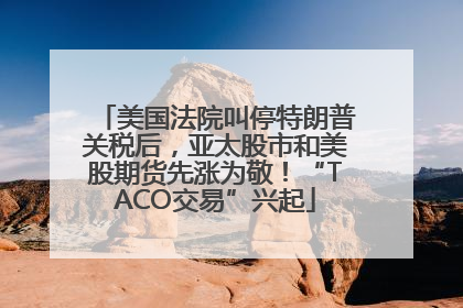 美国法院叫停特朗普关税后，亚太股市和美股期货先涨为敬！“TACO交易”兴起