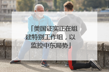 美国证实正在组建特别工作组，以监控中东局势