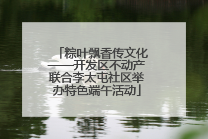 粽叶飘香传文化——开发区不动产联合李太屯社区举办特色端午活动