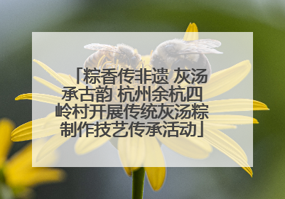 粽香传非遗 灰汤承古韵 杭州余杭四岭村开展传统灰汤粽制作技艺传承活动