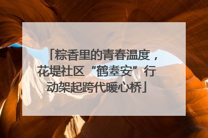 粽香里的青春温度，花堤社区“鹤耋安”行动架起跨代暖心桥