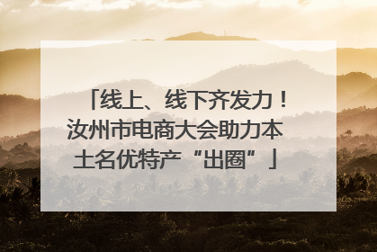 线上、线下齐发力！汝州市电商大会助力本土名优特产“出圈”