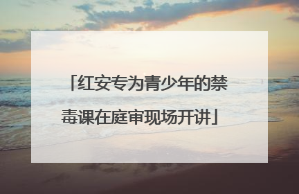 红安专为青少年的禁毒课在庭审现场开讲