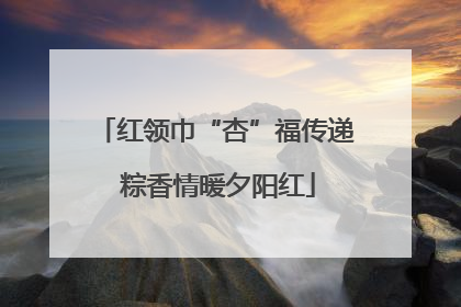 红领巾“杏”福传递 粽香情暖夕阳红