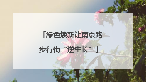 绿色焕新让南京路步行街“逆生长”