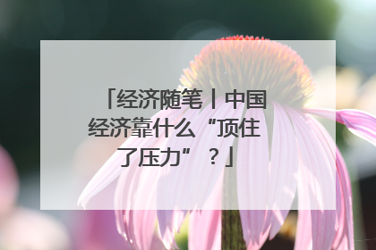 经济随笔丨中国经济靠什么“顶住了压力”？