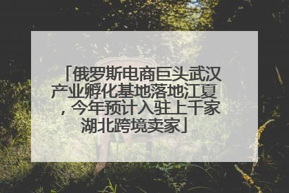 俄罗斯电商巨头武汉产业孵化基地落地江夏，今年预计入驻上千家湖北跨境卖家