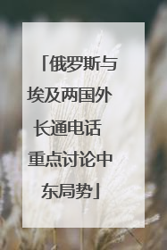 俄罗斯与埃及两国外长通电话 重点讨论中东局势