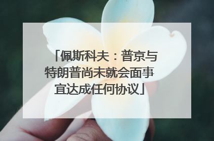 佩斯科夫：普京与特朗普尚未就会面事宜达成任何协议