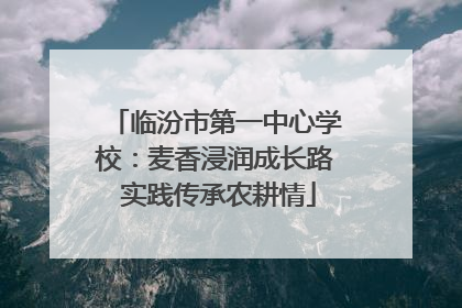 临汾市第一中心学校：麦香浸润成长路 实践传承农耕情