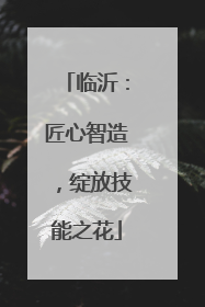 临沂：匠心智造，绽放技能之花