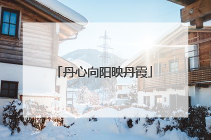 丹心向阳映丹霞