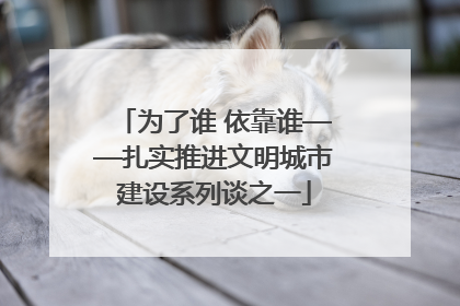 为了谁 依靠谁——扎实推进文明城市建设系列谈之一