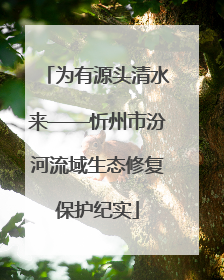 为有源头清水来——忻州市汾河流域生态修复保护纪实
