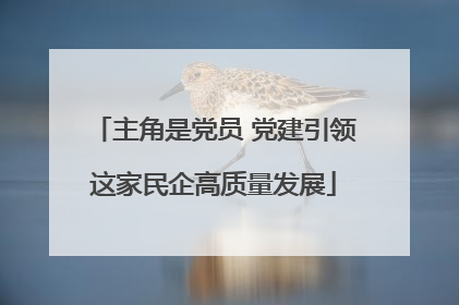 主角是党员 党建引领这家民企高质量发展