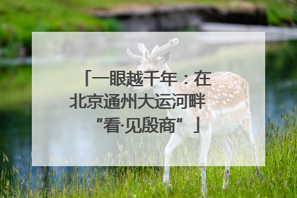一眼越千年：在北京通州大运河畔“看·见殷商”