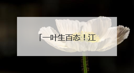 一叶生百态！江川棕编非遗里的“动物世界”