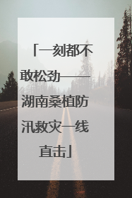 一刻都不敢松劲——湖南桑植防汛救灾一线直击