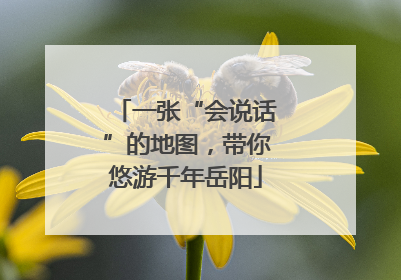 一张“会说话”的地图，带你悠游千年岳阳
