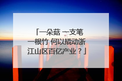 一朵菇 一支笔 一根竹 何以撬动浙江山区百亿产业？
