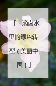 一滴卤水里的绿色转型（美丽中国）