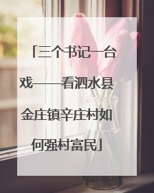 三个书记一台戏——看泗水县金庄镇辛庄村如何强村富民