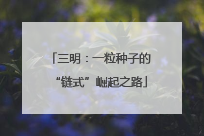 三明：一粒种子的“链式”崛起之路