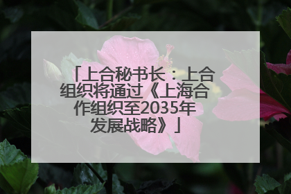 上合秘书长：上合组织将通过《上海合作组织至2035年发展战略》