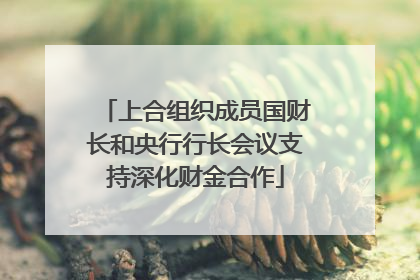 上合组织成员国财长和央行行长会议支持深化财金合作