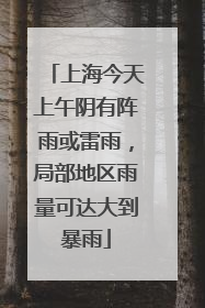 上海今天上午阴有阵雨或雷雨，局部地区雨量可达大到暴雨