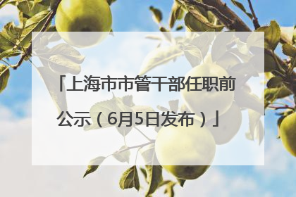 上海市市管干部任职前公示（6月5日发布）