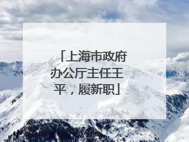 上海市政府办公厅主任王平，履新职