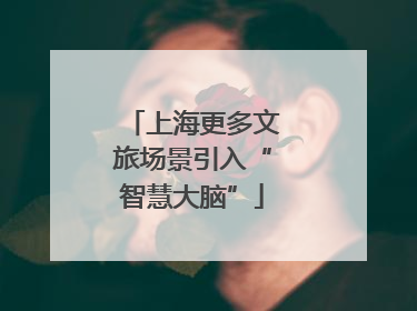 上海更多文旅场景引入“智慧大脑”