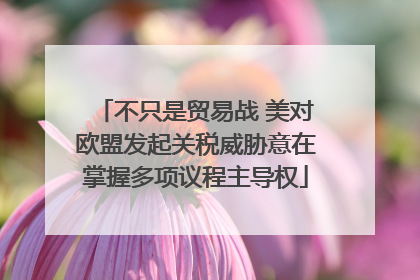 不只是贸易战 美对欧盟发起关税威胁意在掌握多项议程主导权