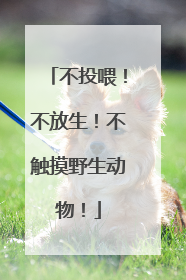 不投喂！不放生！不触摸野生动物！