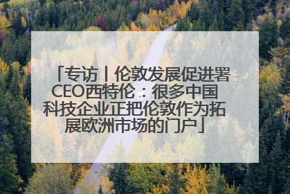 专访丨伦敦发展促进署CEO西特伦：很多中国科技企业正把伦敦作为拓展欧洲市场的门户