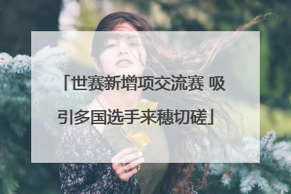 世赛新增项交流赛 吸引多国选手来穗切磋